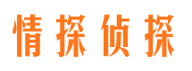 高平侦探